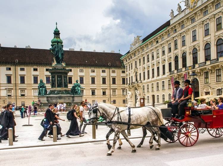 Diese Woche hitzefrei für Fiakerpferde?