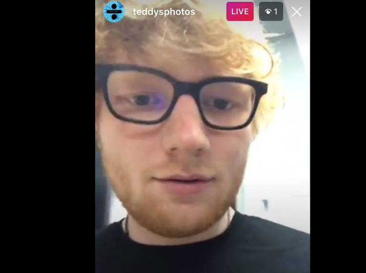 Katzen, Kotletten, Konzerte: Ed Sheeran als Instagram-Star