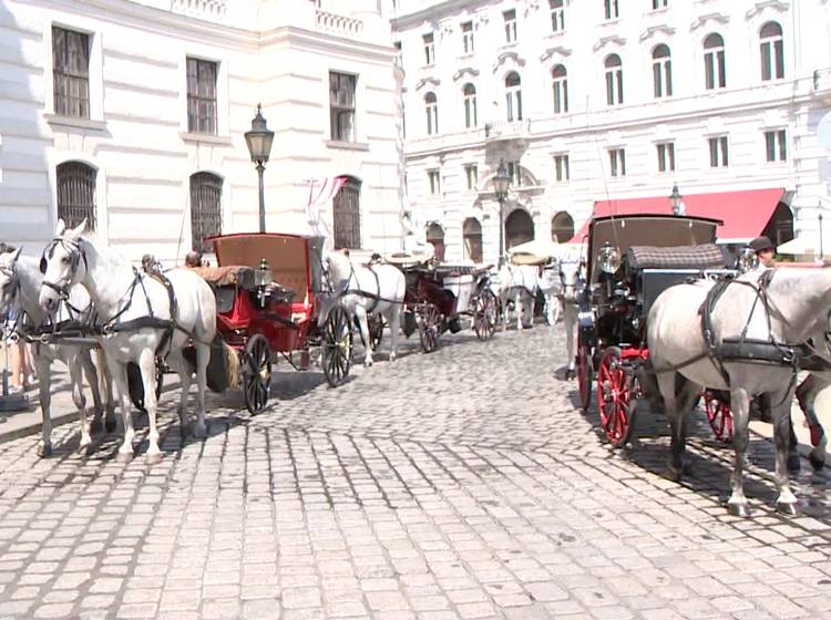 Aus für Fiaker in der Innenstadt?