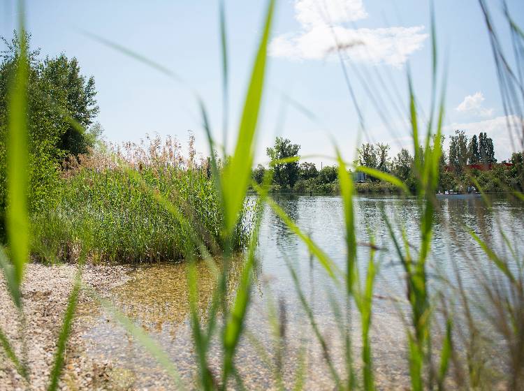 Alte Donau: Tiefe Trauer um tote Buben