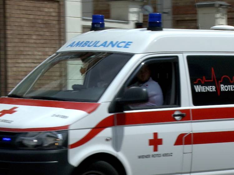 Tödlicher Hundebiss: Anklage für Hundehalterin