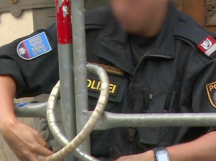 Medienzensur: Zahlreiche Kritik an Kickl