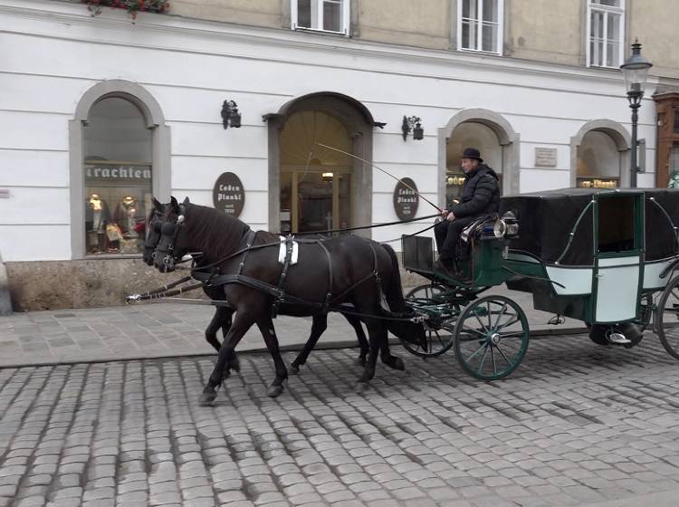 Zweijährige von Fiaker überrollt und verletzt