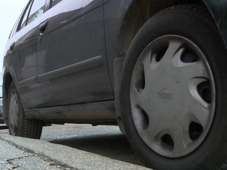 Anrainerparken: 60 Demonstranten vor dem Rathaus