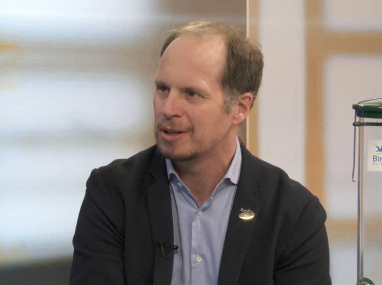 W24-Talk: Wer ist Schuld am Amselsterben?