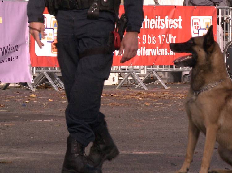Polizeihund erschnüffelt Drogen