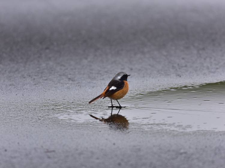 Wochenende: Es wird nass und kalt