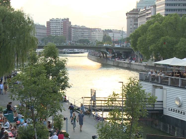 W24-Bezirksflash: Donaukanaltreiben