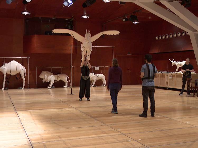 Orfeo & Majnun: 3.000 Teilnehmer bei Großprojekt