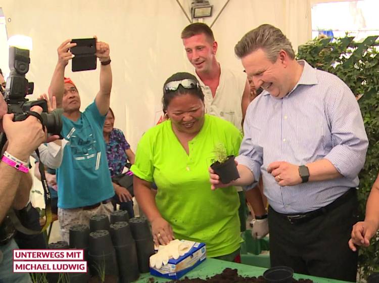 Unterwegs mit Michael Ludwig am Donauinselfest