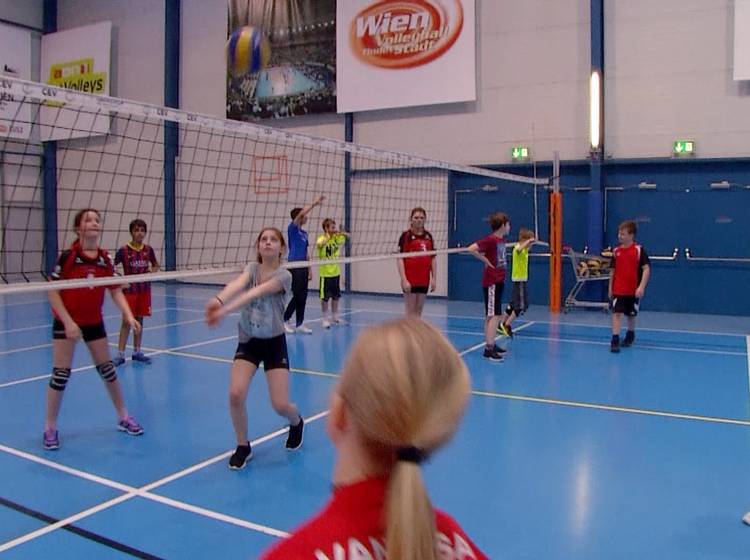 Sport und Fun Halle: Ausdauertraining