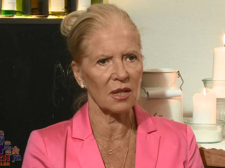 Hörbiger lehnt Gespräch mit Rendi ab