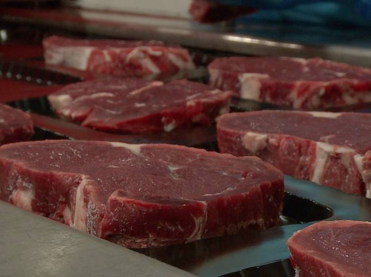 Mehr Bio und Tierwohl für Großküchen