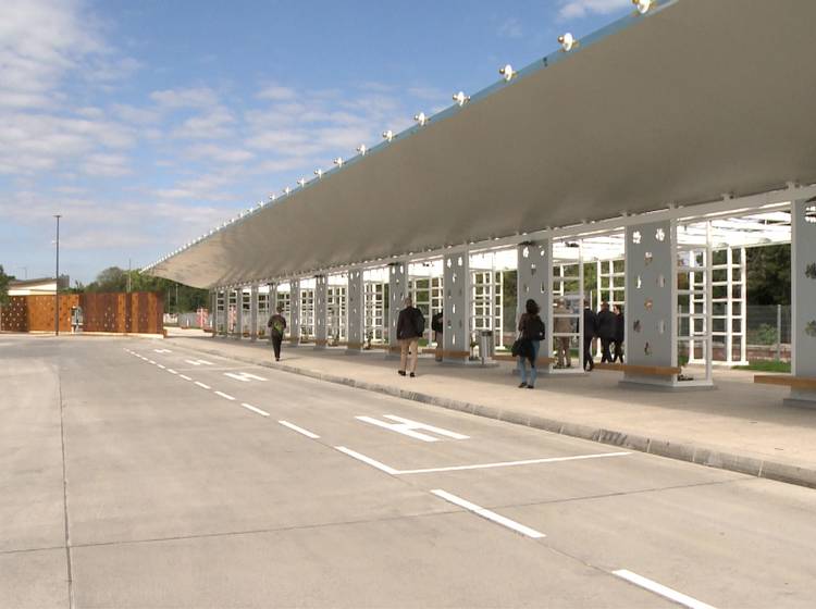 Busparkplatz Schönbrunn: „Keine Betonlandebahn“