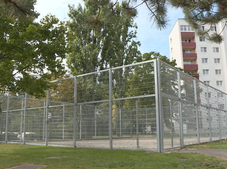 W24 Bezirksflash: Aufregung um verdreckten Käfig