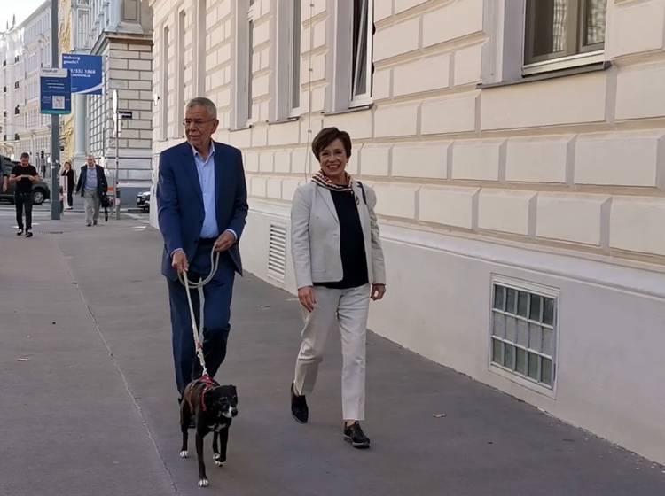 VDB schreitet mit Gattin und Hund zur Wahl