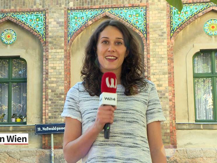 Grätzlkuriositäten: Das Zacherlhaus