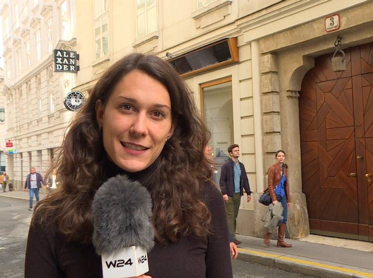 Grätzlkuriosiäten: Geheimnis Rauhensteingasse