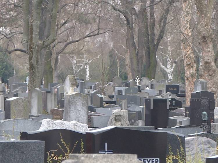 Friedhofstrends: Digitalisierung & Waldfriedhöfe