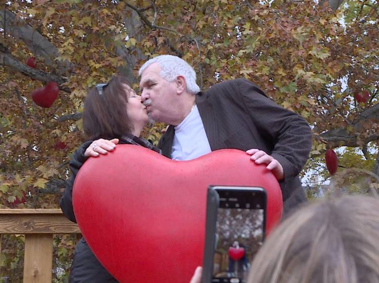 Bussiplatz: "Bussis sind gesund"