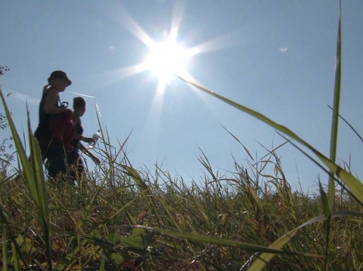 Klimaschutz als Chance für die Wirtschaft?