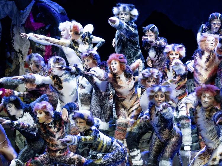 CATS geht in die Verlängerung