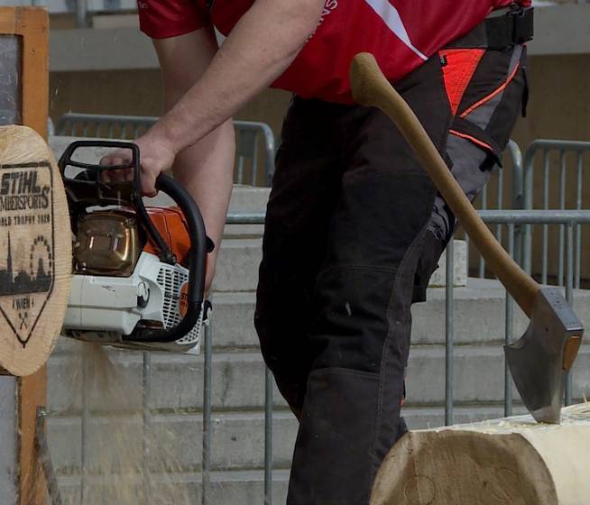 Sportholzfällen: "Mukis sind nicht so wichtig"