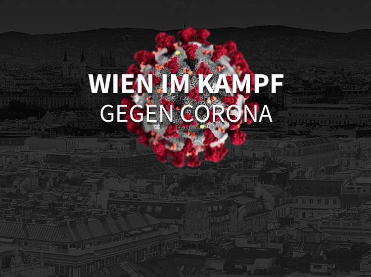 240 Erkrankte in Wien