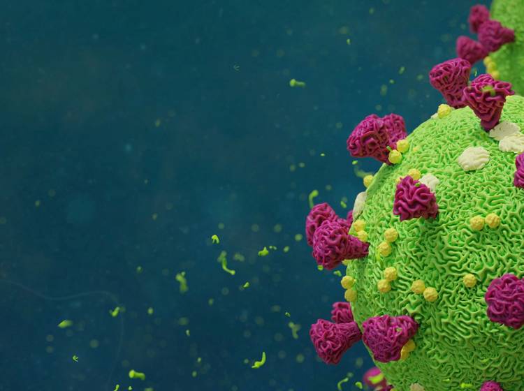 Wiener kommen mit Corona-Krise halbwegs klar