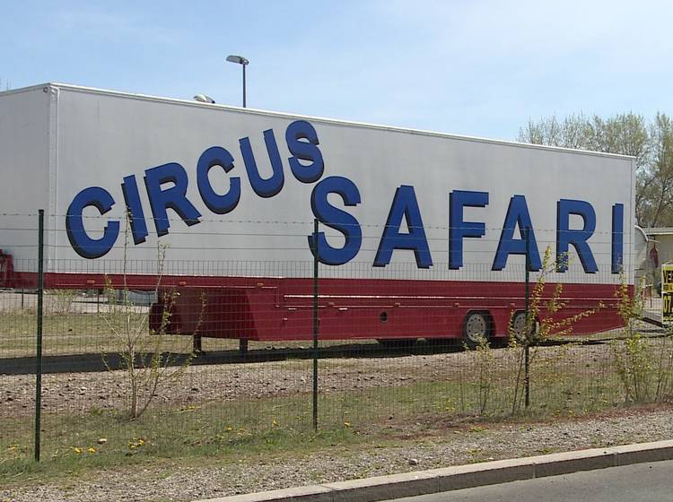 "Circus Safari" muss Gelände räumen