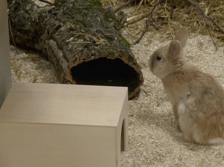 TierQuartier Wien wieder im Normalbetrieb