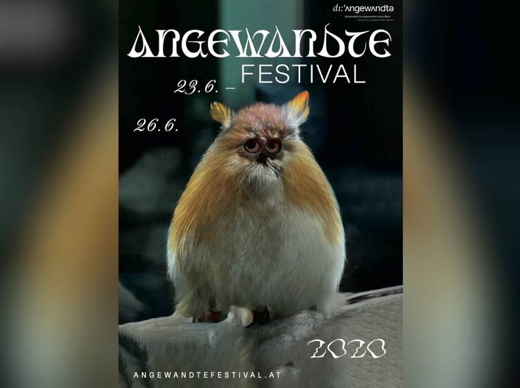 Angewandte-Festival: Litfaßsäulen, Lastwägen und Livestreams