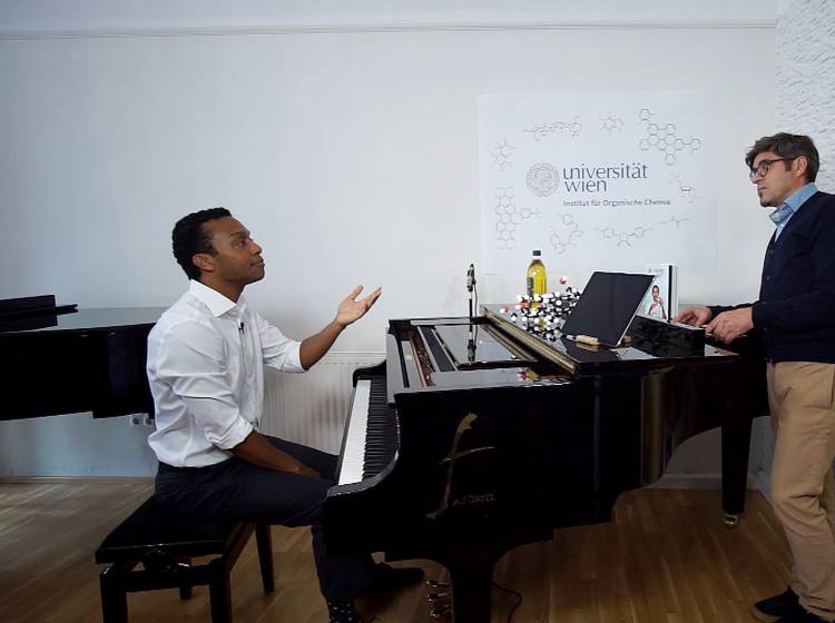 Wiener Vorlesung: Die Kunst der Wissenschaft