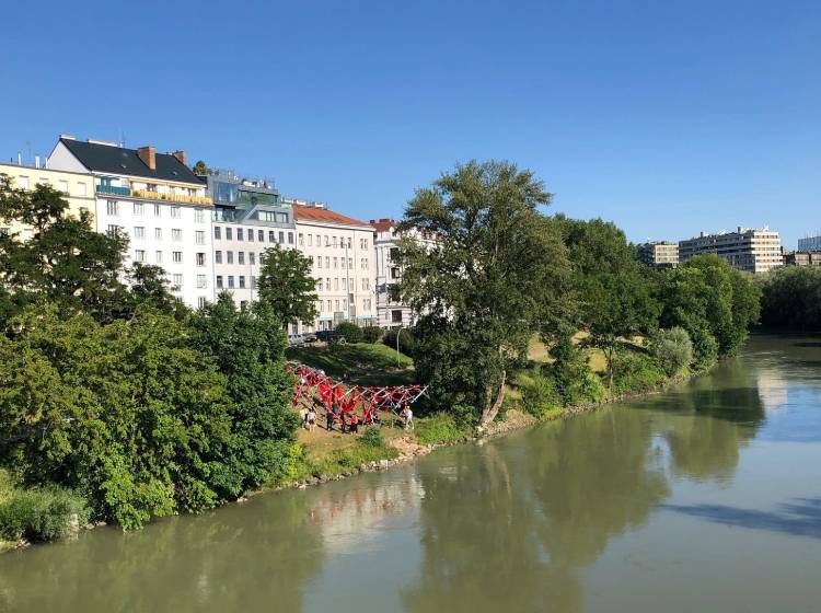 Bezirksflash: Wal am Donaukanal gestrandet