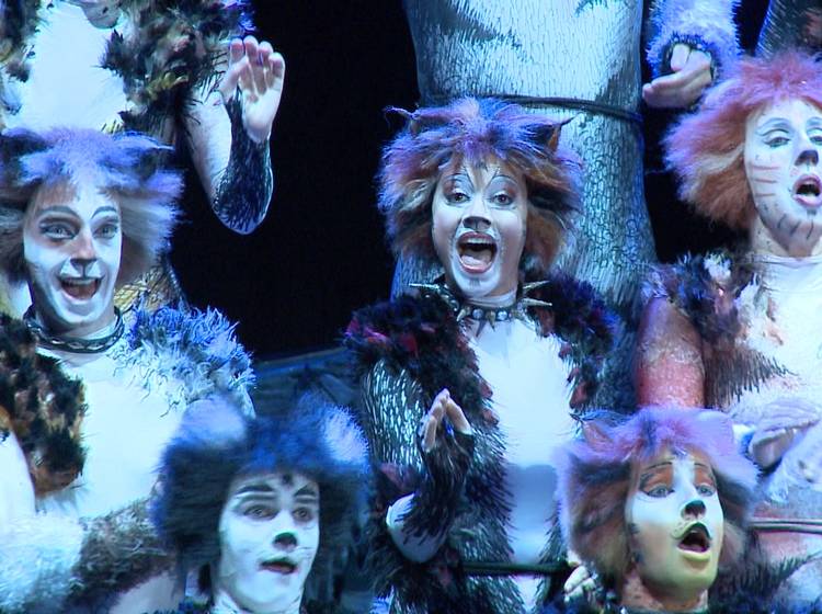 Neues Präventionskonzept für „CATS”-Musical