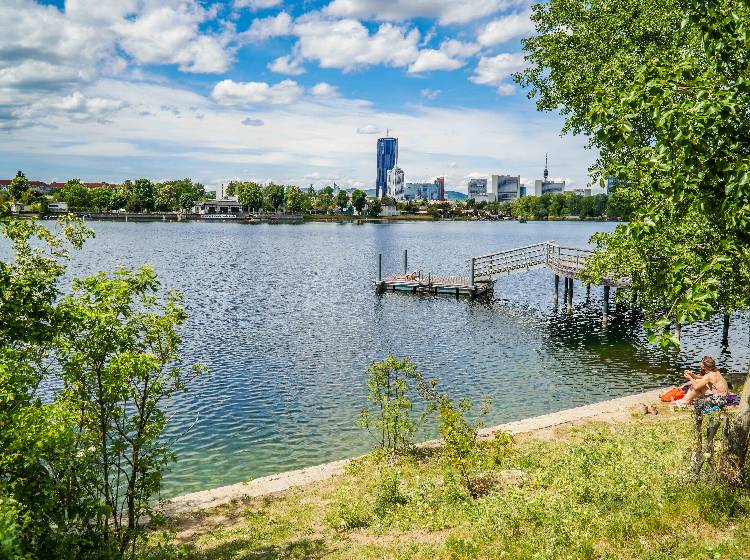 Wien-Wahl: Ruhe vor dem Sturm