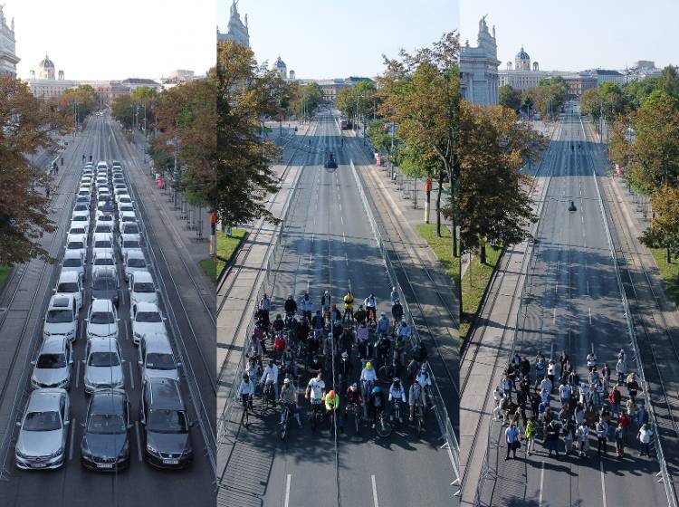 Wer braucht hier wie viel Platz?