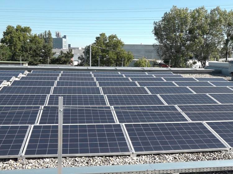 Investitionsförderung für Photovoltaik startet