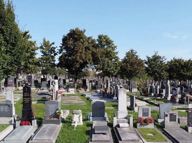 Polizei ermittelt nach Dutzenden Grabschändungen