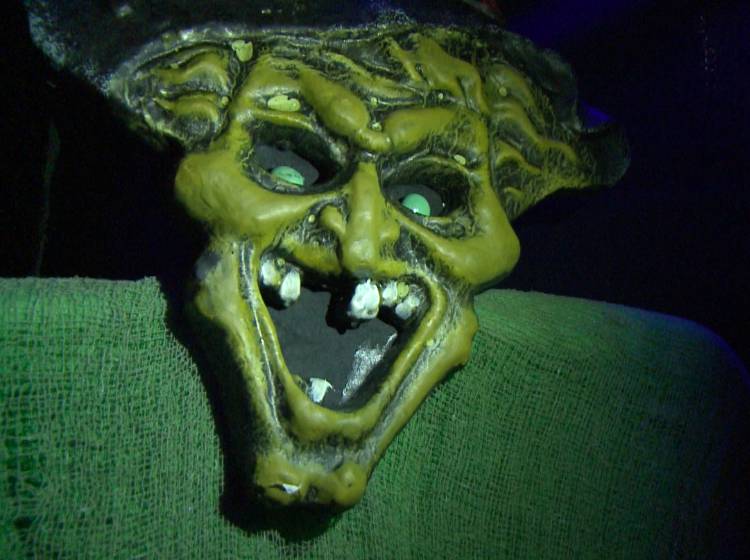 Polizei warnt vor Halloween-Krawall