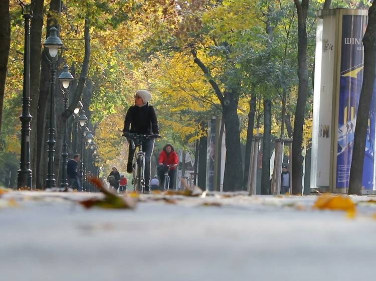 Umfrage: 3 von 4 sehen Rot-Pink positiv