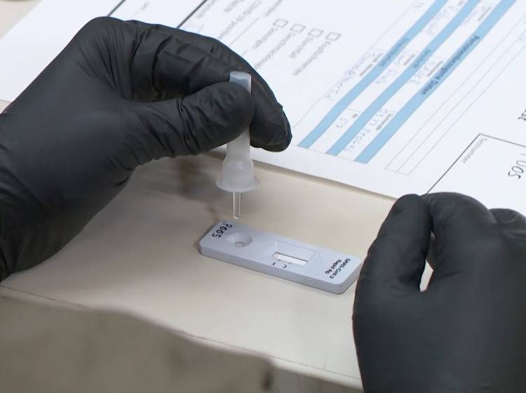 Corona: Massentests für Experten "sinnvoll"