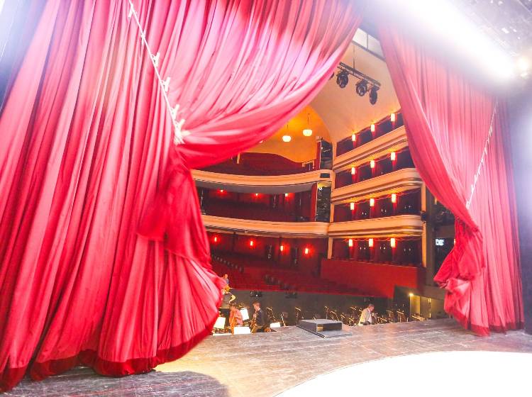 Queere "Fledermaus": Ein Amüsement mit Längen