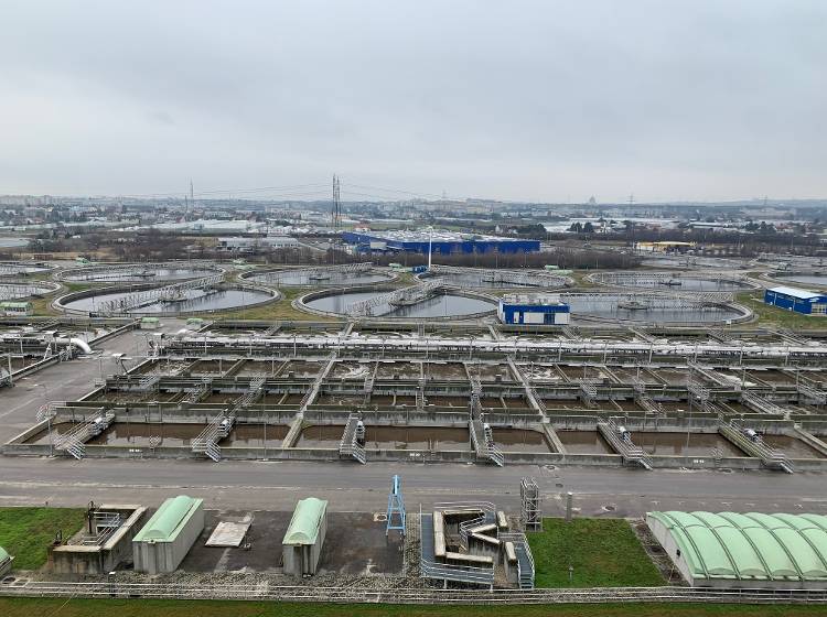 Saubere Energie aus dem Klo