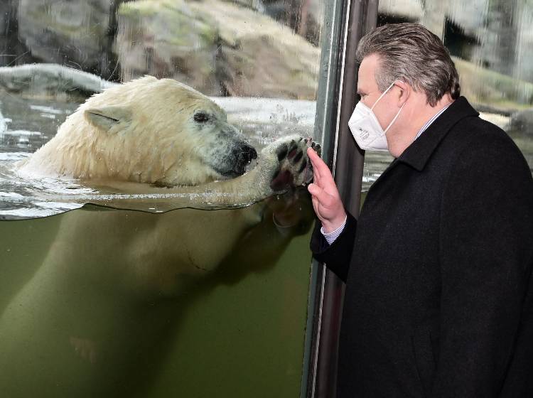 Ein freudiges Wiedersehen