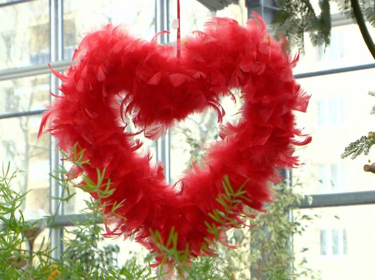 Valentinstag: Rekord erwartet, trotz Corona