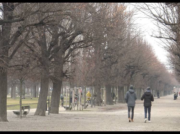 "Der Spaziergang" von Sebastian Bobik
