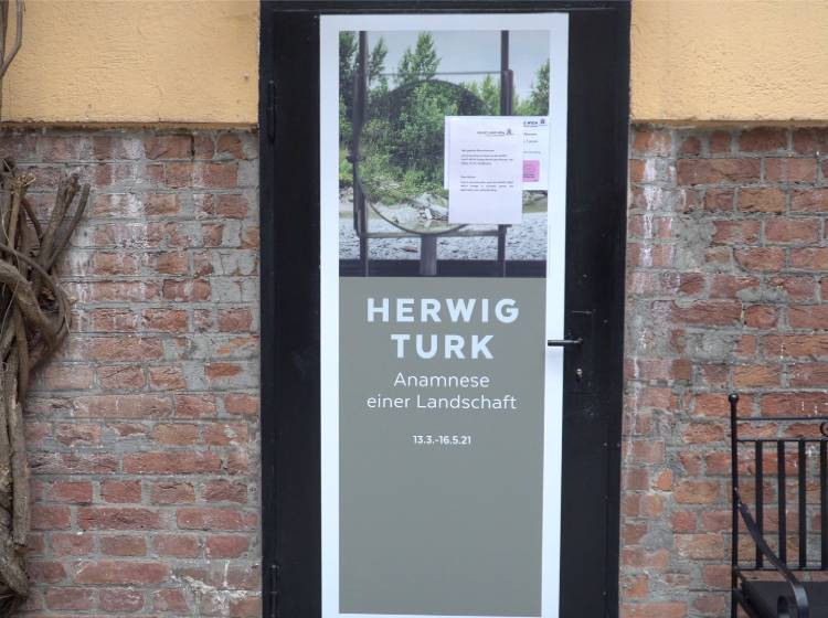 Der Tagliamento im Blickpunkt