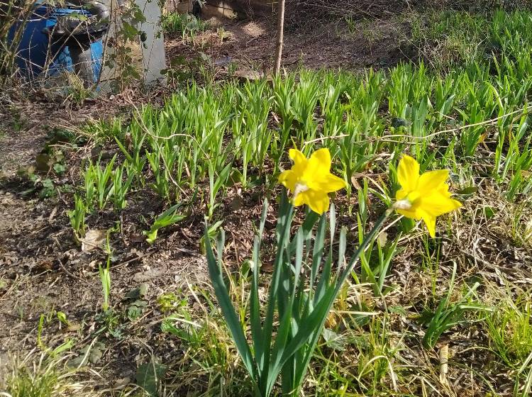 Countdown zur Osterruhe