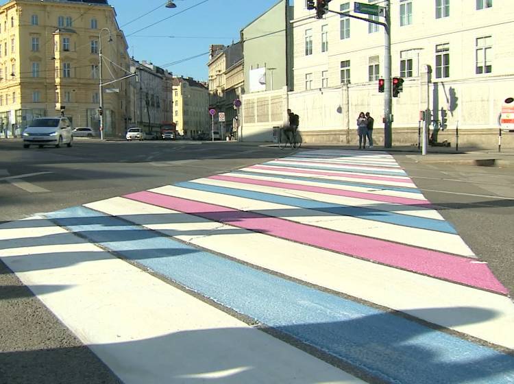 Wiens erster Trans-Pride-Zebrastreifen